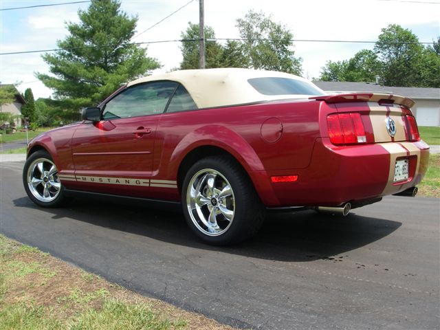 Mustang 2007 017.jpg