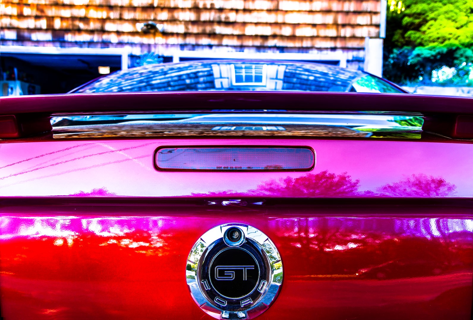 IMG_5912-12 (Large).jpg