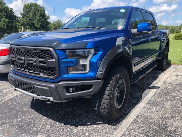 raptor.jpg
