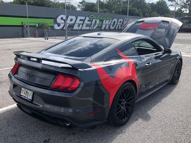 DS_Stang.jpg
