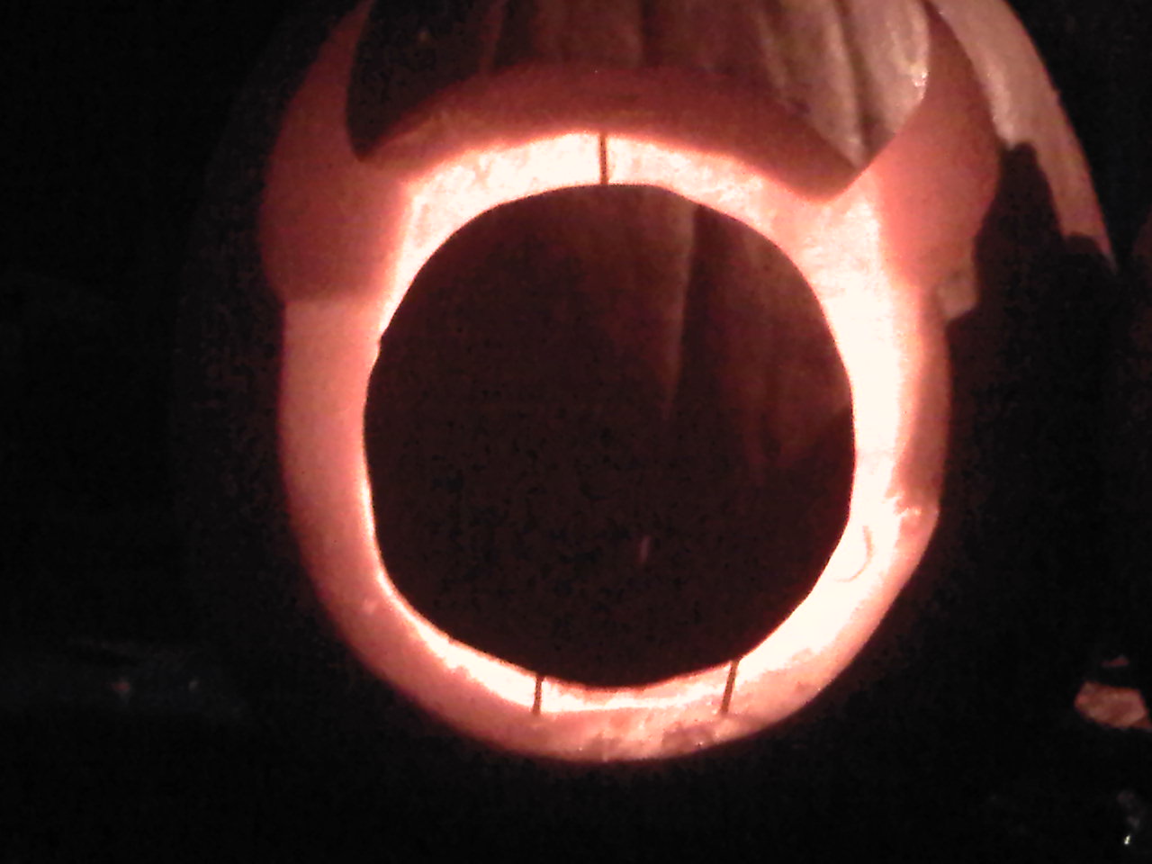 IMG00412-20101024-1821.jpg